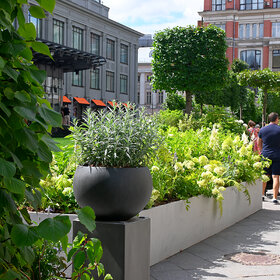 ��������� ����