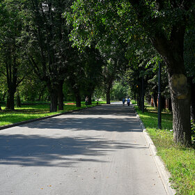 ���������� ����