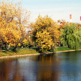 ���� ����������� �����