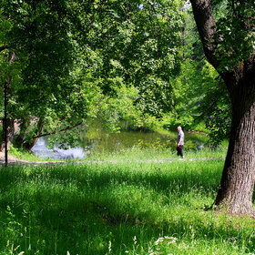 ���������� ����