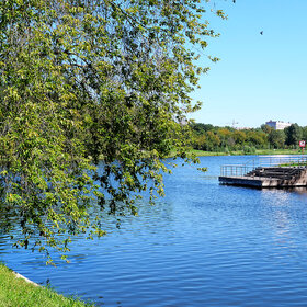 ���������� ����