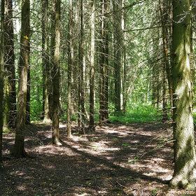 ������������ ���