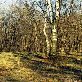 ��� � ������