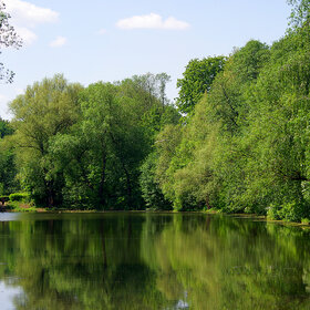 ����� ����