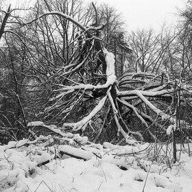 ����������� ����