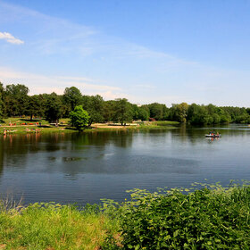 ���������� ����