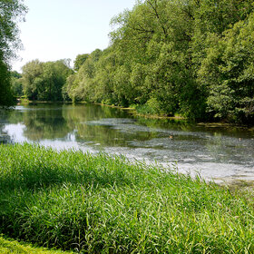 ����� ����