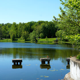 ������� ����������� ����