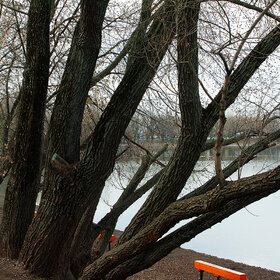 ���� �����