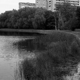 ���� �����