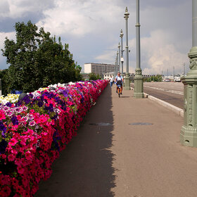 ������� �������� ����