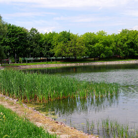 ��������� ����