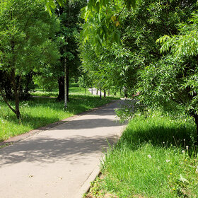 ���������� ����