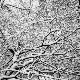 ���� �� ��������