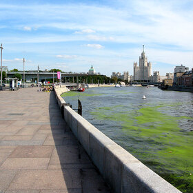 ������������ ����������