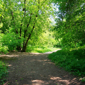 ����������� ����