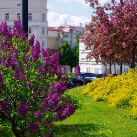 �������������� ��������