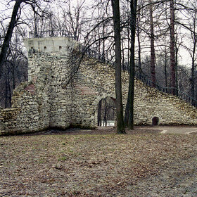 �����-�����